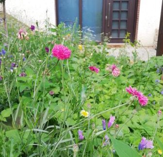 Runkel Apartment | Your Suite Runkel - Runkel, you're sweet!