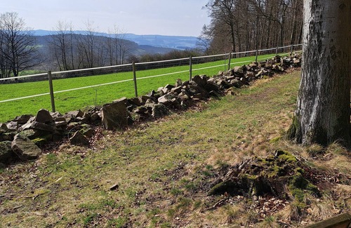 Extertal Apartment | Your vacation address in the beautiful, hilly Teutoburg Forest