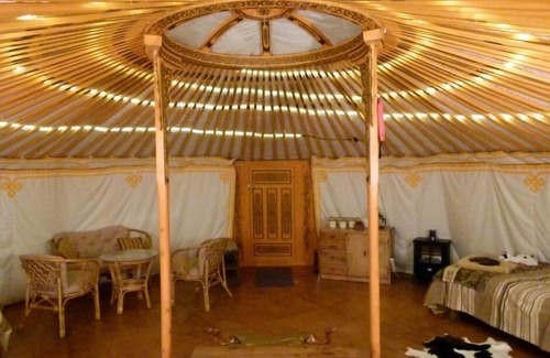 Kaikoura Bed & Breakfast | Yurt - Wacky Stays - six UNIQUE rentals in Kaikoura