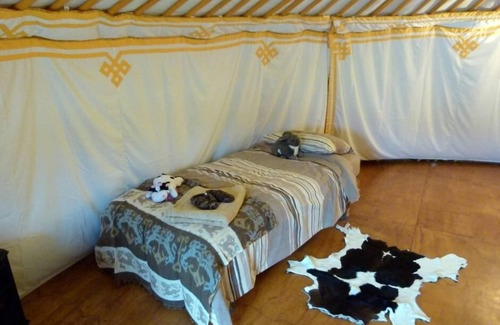 Kaikoura Bed & Breakfast | Yurt - Wacky Stays - six UNIQUE rentals in Kaikoura
