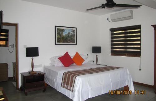 Rattota House | Zee's Garden