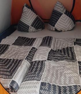 Taubenheim Other | Zelten im vorhandenen Zelt im Loftcamp