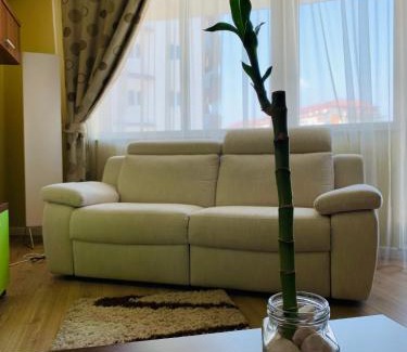 Oradea Apartment | Zen Apartment Oradea - FREE Parking