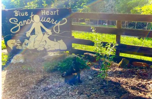 Green Mountain Cabin | Zen Dome: Relax & Revive in the Beauty of Nature