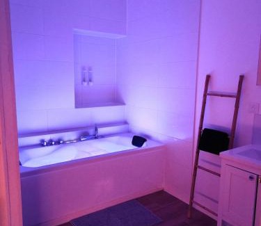 Chatel-Guyon Apartment | Zen lodge jacuzzi privé