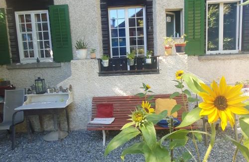 Central Interlaken Apartment | Zentral gelegene Wohnung mit grossem Garten