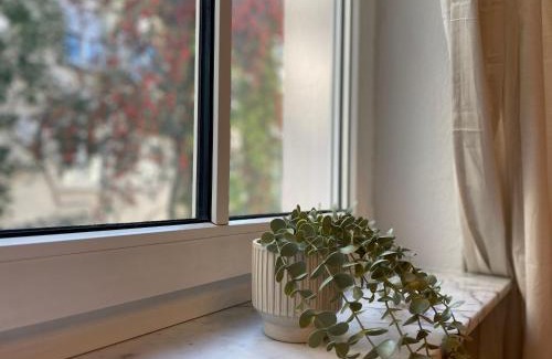 Heusteigviertel Apartment | Zentrales Innenstadt Studio mit Garage