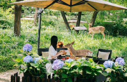 Chaoyang Hotel | Zhi Resort Beijing&Peafowl Garden&Breakfast with Deer&Private Hot Spring&50 Meter Swimming Pool&Free Coffee&Close to Olympic Forest Park