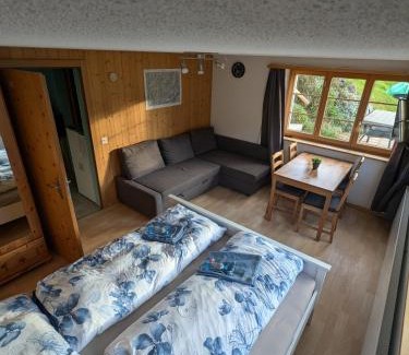 Adelboden Apartment | Zimmer in Adelboden