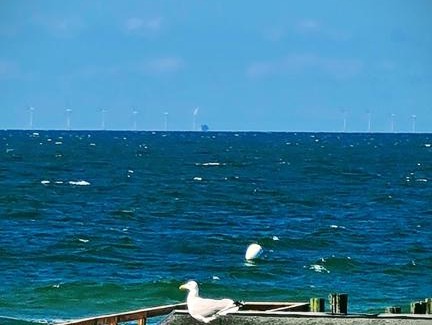 Zingst House | Zimmer " Sonnenschein"