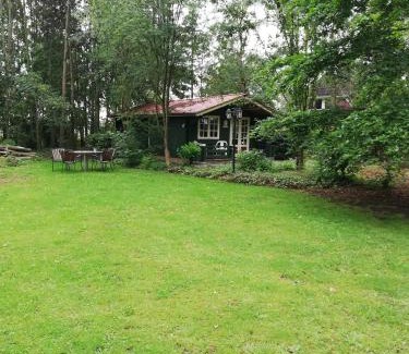 't Haantje House | Zizania