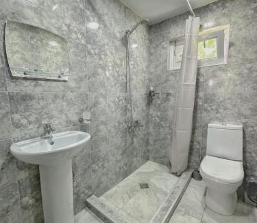 Ambrolauri House | ZIZI's Guesthouse