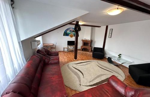 Suceava Apartment | Zlata Central Apartment