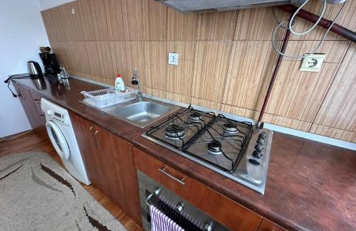 Suceava Apartment | Zlata Central Apartment