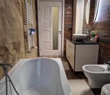 Suceava Apartment | Zlata Silvery Residence OMV