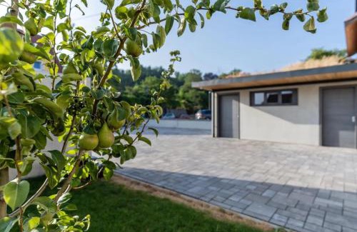 Endingen am Kaiserstuhl House | Zollhaus - Doppelzimmer