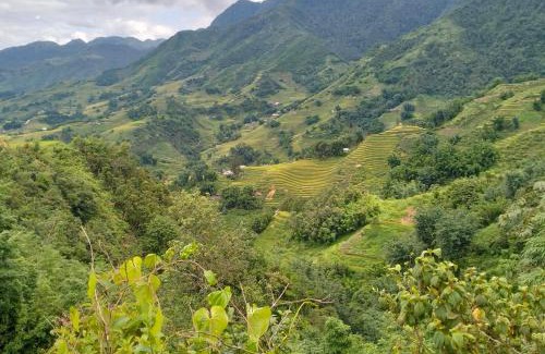 Sa Pa Ski Chalet | Zoo si homestay