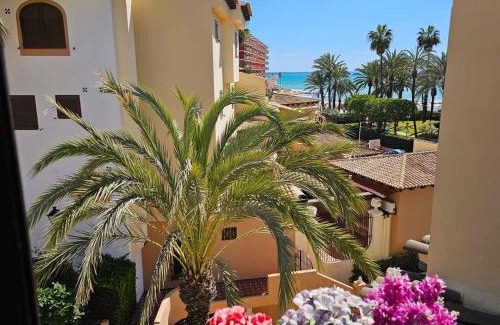 Torrevieja Apartment | Zozo apartamento playa los locos