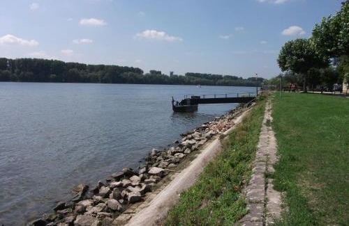Mainz-Bingen Hotel | Zum neuen Schwan