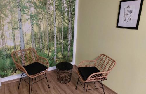 Schwarzenberg/Erzgeb. Apartment | Zur alten Werkstatt