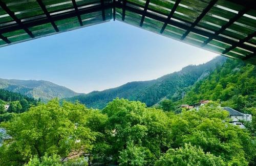 Likani House | Zviad Guest House