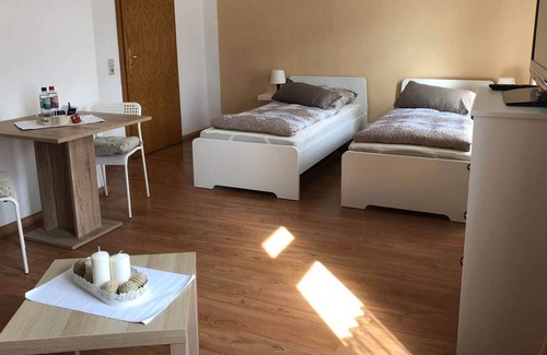 Zwickau Apartment | ZW01c Comfortable, centrally located 1-room apartment in Zwickau