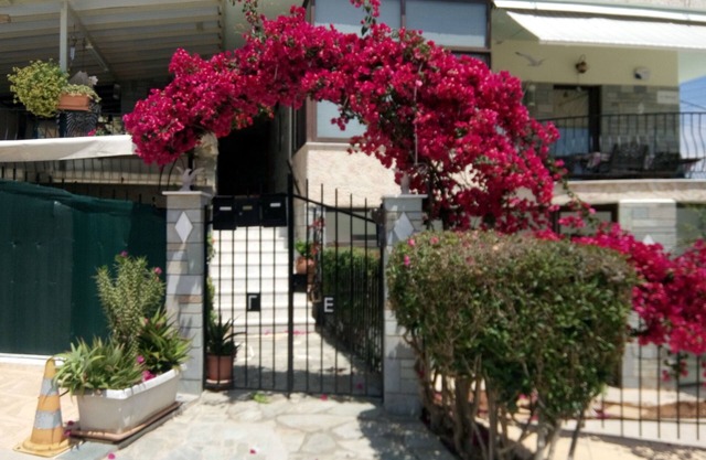 ΜΙΑ ΩΡΑΙΑ ΗΜΕΡΑ ΞΕΚΙΝΑ ΜΕ ΧΑΜΟΓΕΛΟ ΔΕΝ ΚΟΣΤΙΖΕΙ ΤΙΠΟΤΑ ΑΛΛΑ ΕΙΝΑΙ ΠΟΛΥΤΙΜΟ