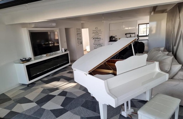 פנטהאוז מטורף