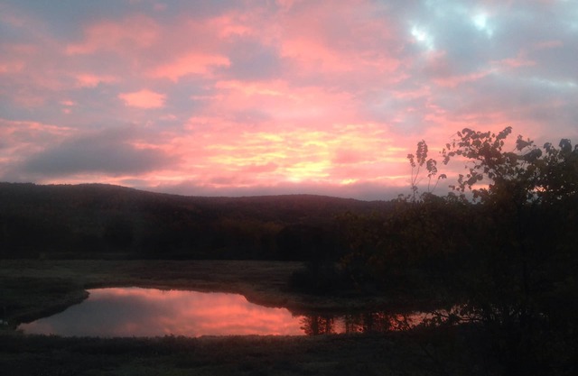 1/2 Mile from Dreams Park, 17 miles to All Star Village, 5 to Cooperstown