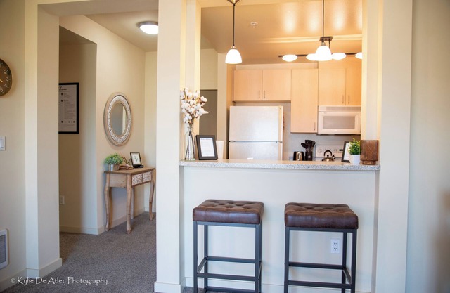 1 bedroom apartment in tacoma