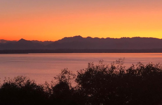 1-Bedroom Seaview Guesthouse on Seattle Luxury Estate with Views of Olympic Mountains
