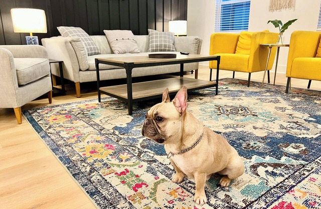 10 min to Broadway, Airport & Opry Mills. Three roomy bedrooms sleep up to 10 guests in comfort. After a play day, unwind in our dedicated game room packed with board games. Fire up the BBQ on grill by the dog park and chill.