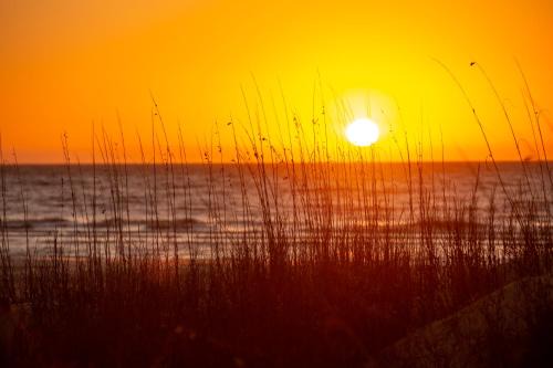 1037 Caravel Court at The Sea Pines Resort