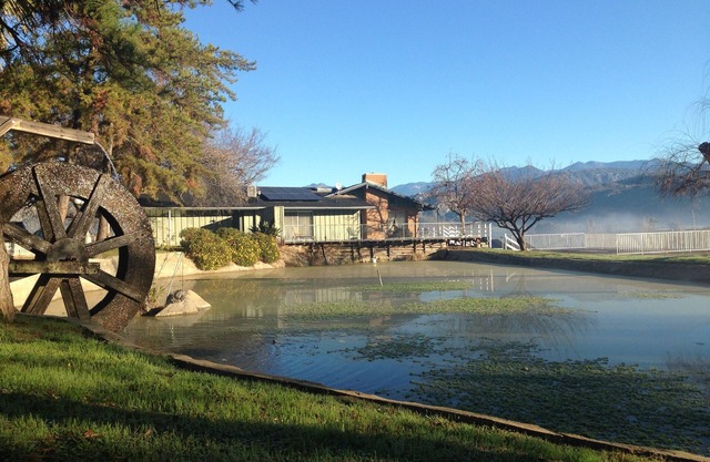 12 acre Ranch with Pickle Ball with lights, Pool, Jacuzzi views and Cows