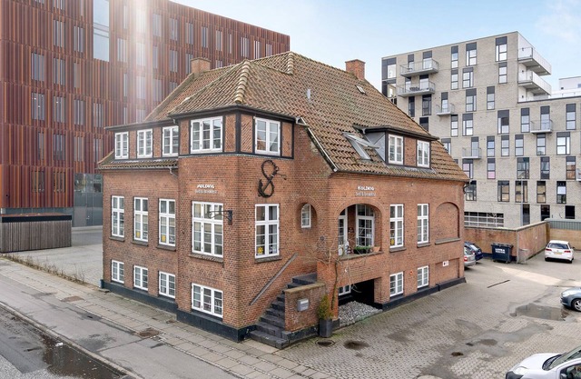 12 bedroom gorgeous home in Kolding