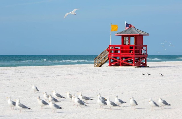 15 min to Siesta Key. 14 night min Oct to Dec. 30 day min Jan, Feb, March 2024