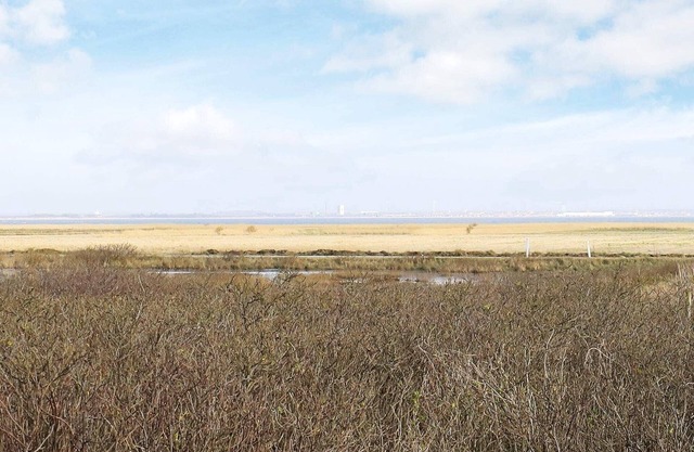 18 person holiday home in Ringkøbing