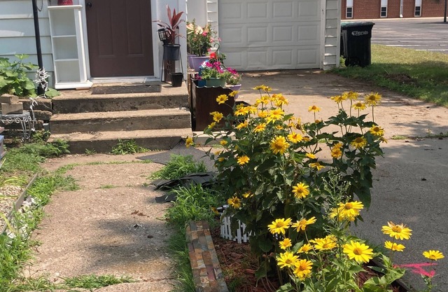 1888 LFalls Gem in Great Location. 3BR, 1BA Modern Comfort Vibes, WiFi, Big Yard