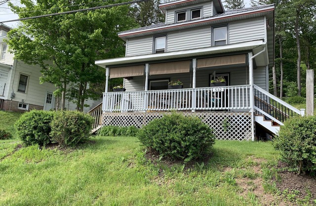 1920’s charm. In-town retreat. Great for fly fishermen! Pet Friendly