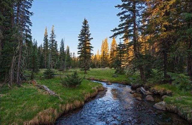 2 BDRM CABIN~ (LOWERED RATES) PERFECT LOCATION~ INDOOR POOL & HOT TUB~ SLEEPS 6~