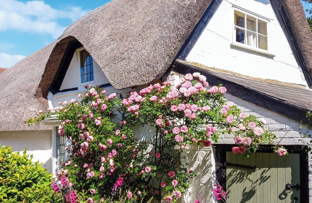 2 bedroom accommodation in New Milton