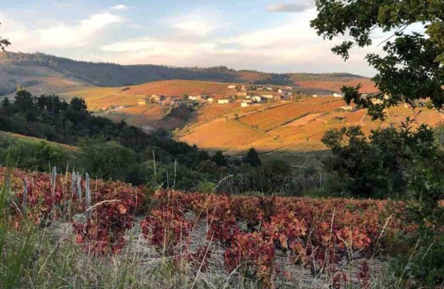 2-bedroom gîte with panoramic views, surrounded by vineyards and surrounded by nature.