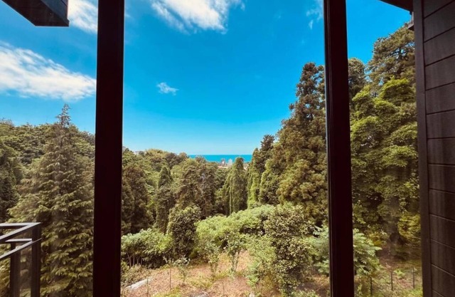 2-bedroom villa in enchanting Batumi with AC, WiFi