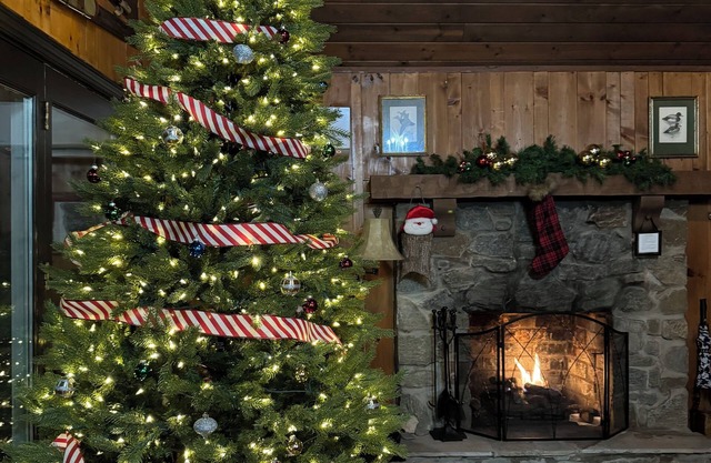 2 BR, 2 BA rustic mountainside cabin - winter availability and no cleaning fee!