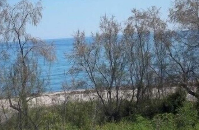 2-room vacation rental in CORSE COTE ORIENTALE