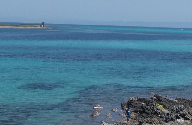 20 meters from the sea nice apartment in residence with swimming pool