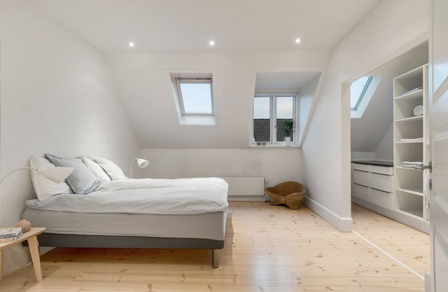 250 Sqm Smack Bang in the Center of Copenhagen