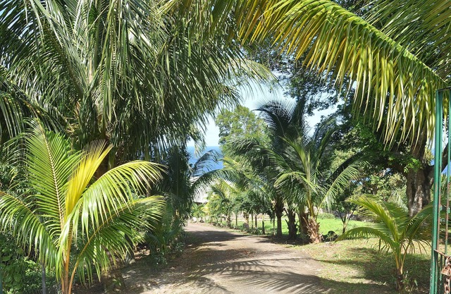 3 acres of tropical gardens, views of the Caribbean sea