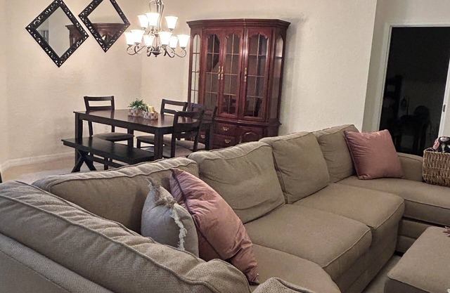 3 bed/2 bath house in The Villages! Pet friendly, pool, hot tub and internet!