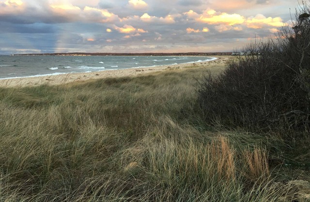 3 BR East Hampton, NW Cottage, Steps to Sammy's Beach